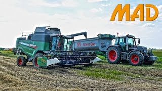 Fendt 5275 C al lavoro su frumento e mais