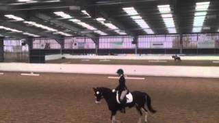 Lex P14 BD Reaseheath 7.5.16