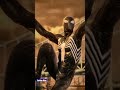 Insane Spider-Man Moments You Can't Miss! 🕷️💥