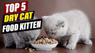 Best Dry Kitten Food 2026: Top Picks for Healthy Growth
