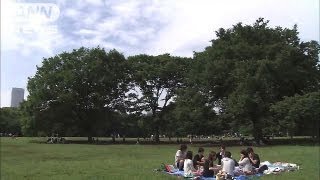 関東では天気急変に注意！高温多湿で大気不安定に（13/06/15）