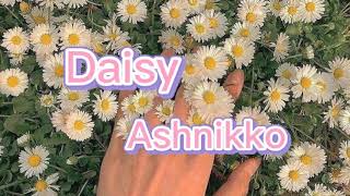 Ashnikko-Daisytürkçe Çeviri