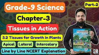 Tissues in Action | Class 9 Science Chapter 3 | line by line NCERT Explanation | Part 2 Meristem