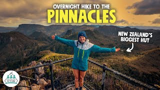 Overnight Hike to THE PINNACLES I New Zealand's Biggest Hut | Kauaeranga Kauri Trail