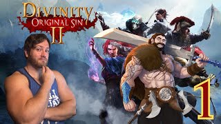 Bjorn's adventure begins | Divinity Original sin 2 Blind roleplay - Episode 1