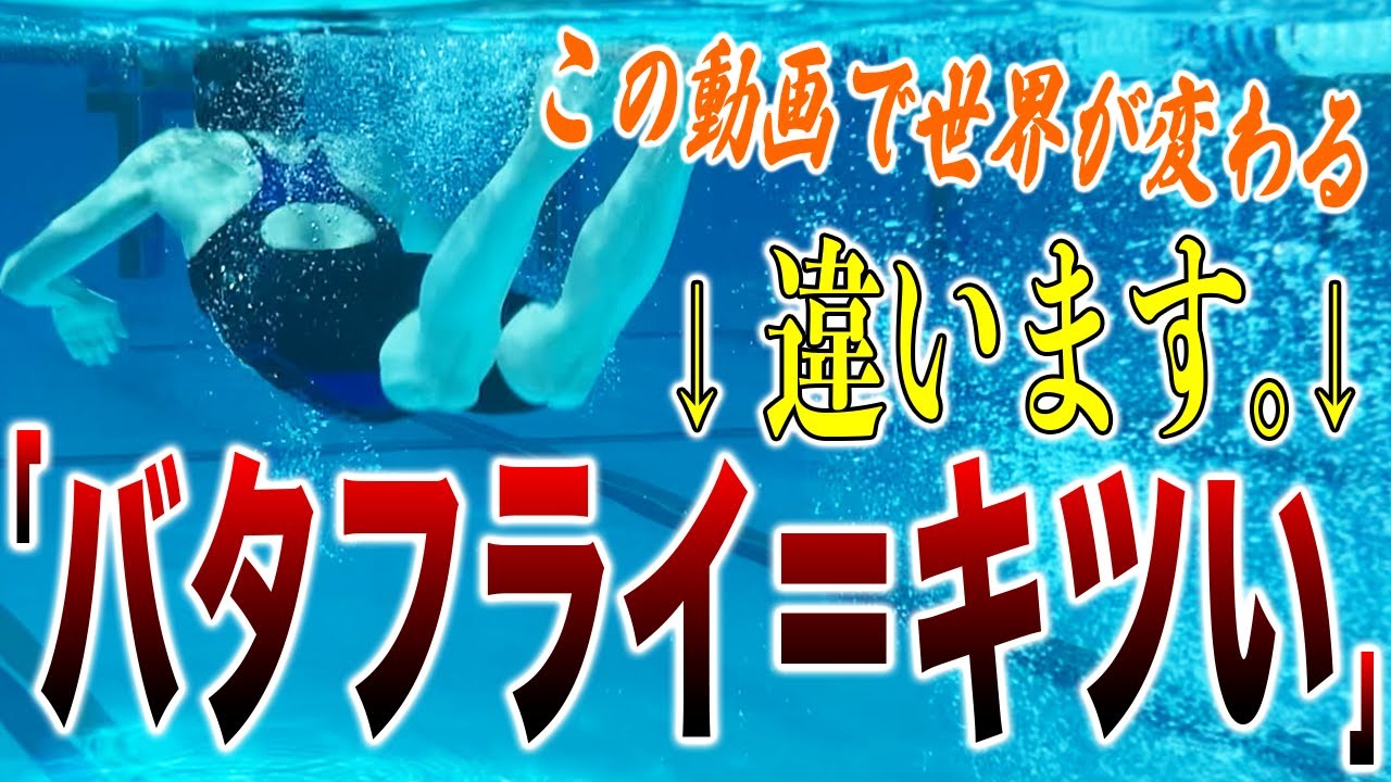 【バタフライ】疲れるバタフライor楽なバタフライ!違いは〇〇!?自分の泳ぎを見つめ直して!／キック／水中／うねり／タイミング #268
