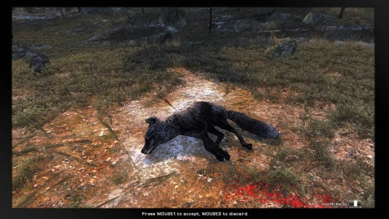 theHunter with Afro - Rare Red Fox Silver Tipped (Melanistic) - YouTube