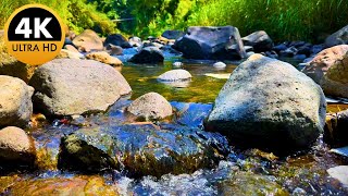 Relaxing Forest River Sounds Ambient Water Sounds For Deep Sleep meditation, study, yoga | 4K UHD