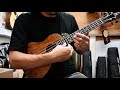 Kanileak2t mastertenguitar  ukuleleshop tantan