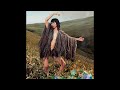 UA - 泥棒 [vinyl]