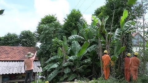 Quảng Nam tăng cường bảo vệ an toàn hành lang tuyến lưới điện trước, trong mùa mưa bão