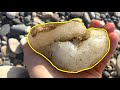 Found STUNNING CRYSTAL-FILLED GEMSTONE On The Yellowstone River | Montana Rock Hunting