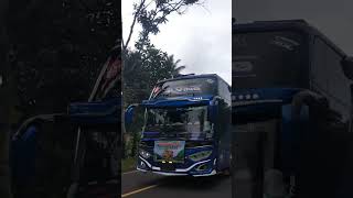 Cit Cit Cuit Modul Okdj busmania basuri telolet