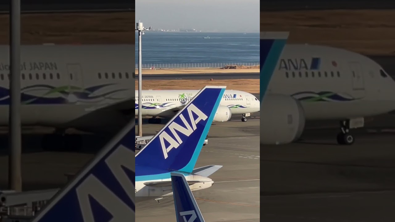 ANA Safe Flight Initiative 787-8 at Tokyo Haneda 