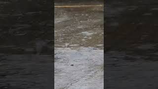 Rain Sleep Sound Effects Download ASMR Royalty Free Audio MP3