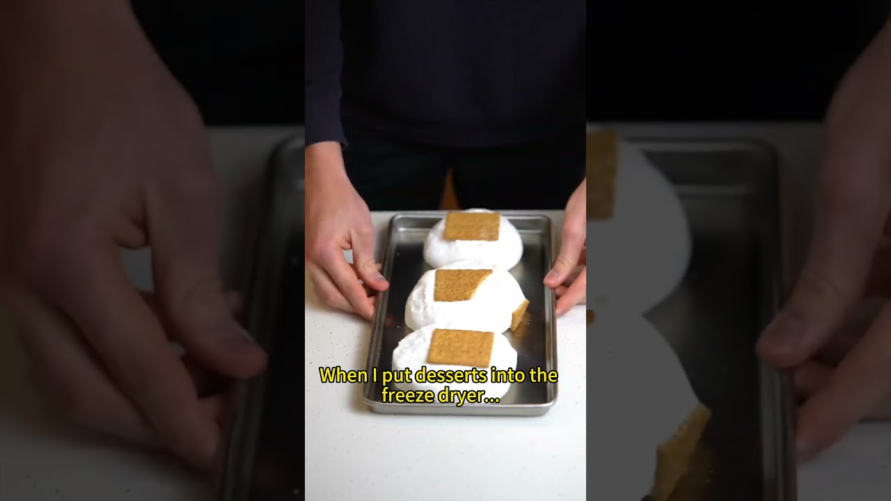 Fresh Food → Freeze-Dried Magic! Airwoods Freeze Dryer