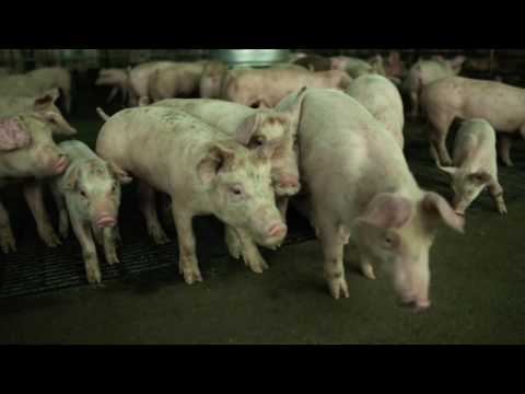 CONTAGION Movie Clip 5