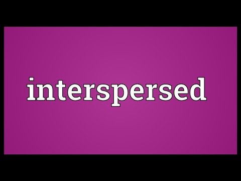Interspersed Meaning