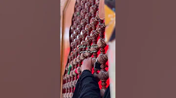 أمدلك ايد غرگان اعني يا معيني 