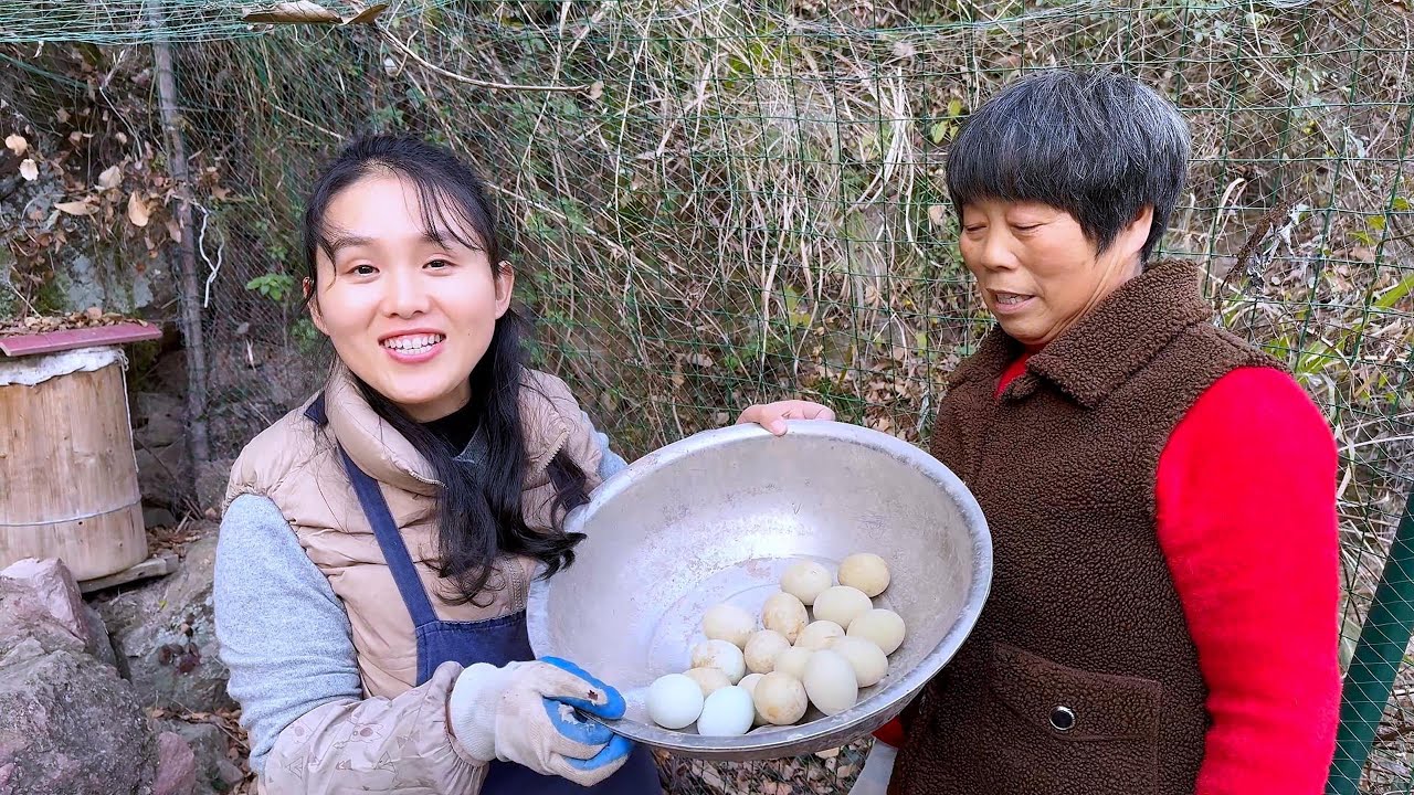 Я случайно нашел гнездо с яйцами, сразу 17 яиц, и я получил свободу есть яйца.