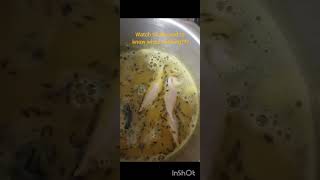 Kids Can Cook Too! Easy Recipe by Young Chef