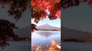#tokyo #japan #funny #shorts #instagram #tiktok #amazing #travel #photography