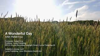 A Wonderful Day - Rafael Krux (Lynne Publishing)