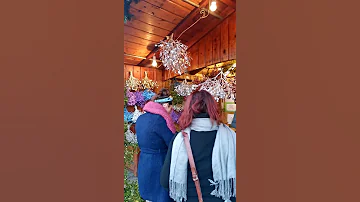 Ветка омелы - еще одна традиция на рождество в Чехии 🎄