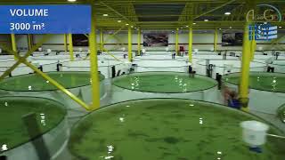 AgriGo Hesy Aquaculture Solutions RAS Intro