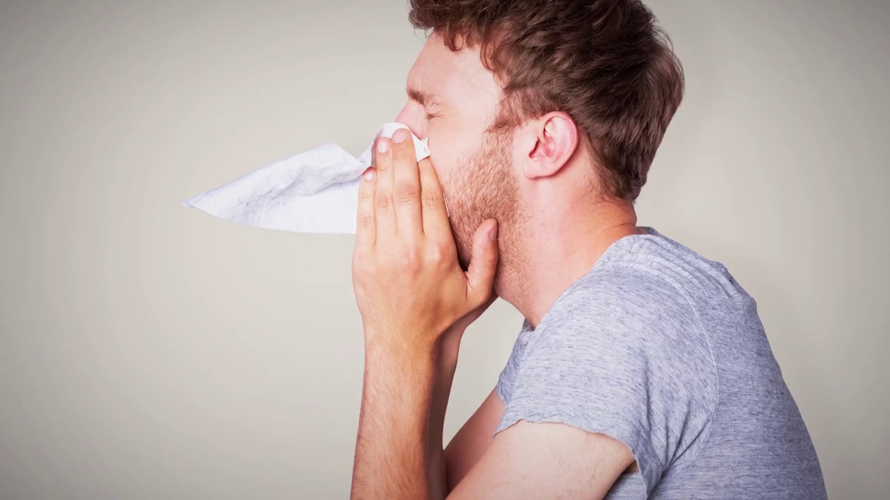 HKUST Introduction to Indoor Air Quality Course Overview YouTube