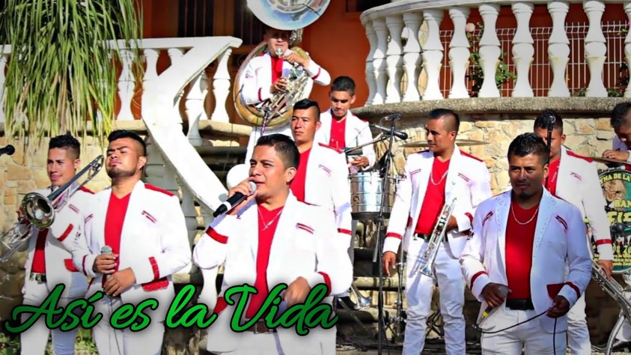 7.- Así es la vida - Banda la Fiera de Gildo Zarate (En Vivo)