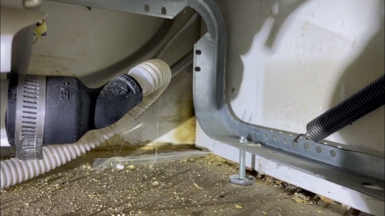 lots-of-mice-droppings-under-the-dishwasher-youtube