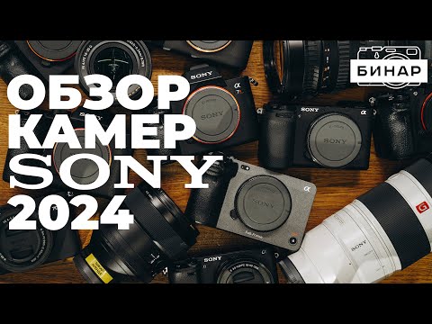 Видео: Какую камеру Sony выбрать? Обзор всех камер Sony от Sony ZV-E10 до Sony A9M3.