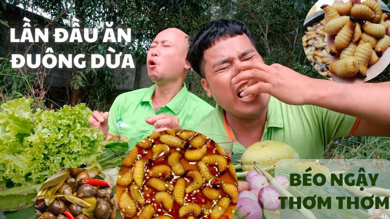 Lần Đầu Tiên Ăn Đuông Dừa , Phi Khóc Thét Lên Khi Cắn Con Đuông Dừa Còn ...