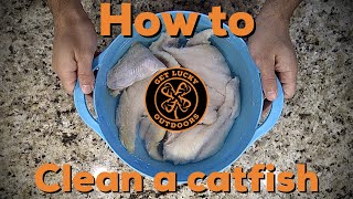 How To Clean A Catfish Fast And Easy