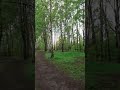 Утро мая в Москве #shorts
