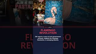Albania's 'Flamingo Revolution' Protests Explained