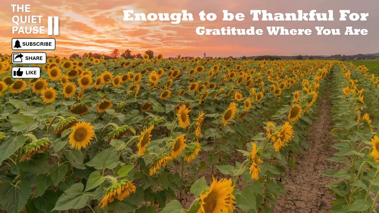 ENOUGH TO BE THANKFUL FOR - GRATITUDE WHERE YOU ARE