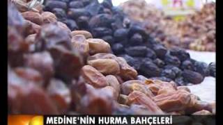 MEDINE HURMA BAHCESI K7.avi