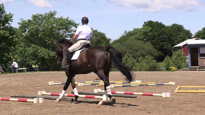 Michele Wellman  Individual Cavalletti Exercises