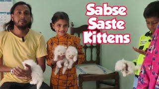 sabse saste kittens for sale in Hyderabad Warisguda Daulat Pasha | bicolour & blue  Persian cat's