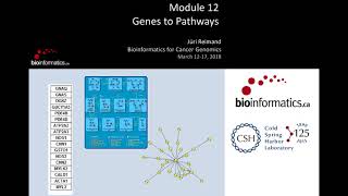 Genes to Pathways