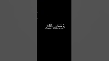 #الا_تنصروه_فقد_نصره_الله/#لا_تحزن_ان_الله_معنا🌿#سورة_التوبة #قرآن #المصحف #اكسبلور