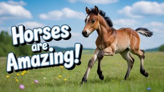 Horses 101 For Kids   Fun Facts Adventures U0026 Learning About Horses