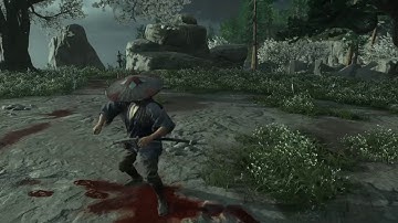 |Ghost of Tsushima| i know you can crouch but