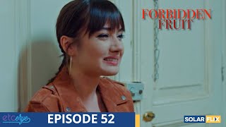 Forbidden Fruit Episode 52 Full Episode Tagalog Dub Turkish Drama
