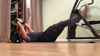 Max The Workout Cat - Cat Interrupts Workout For Attention