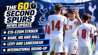 THE 60 SECOND SPURS NEWS UPDATE: £15M Striker, Kane, Ho, Hall, Levy, Lankshear, International Duty screenshot 4