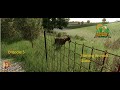 Droodle 5 - Starting Animals ... GOATS
