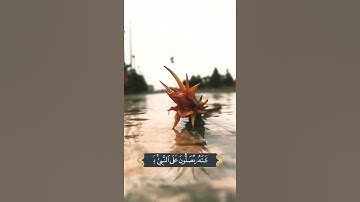 ستوريات انستا قرآن كريم بصوت جميل ستوريات دينيه ستوري انستا قرآن ستوريات بدون حقوق ❤️